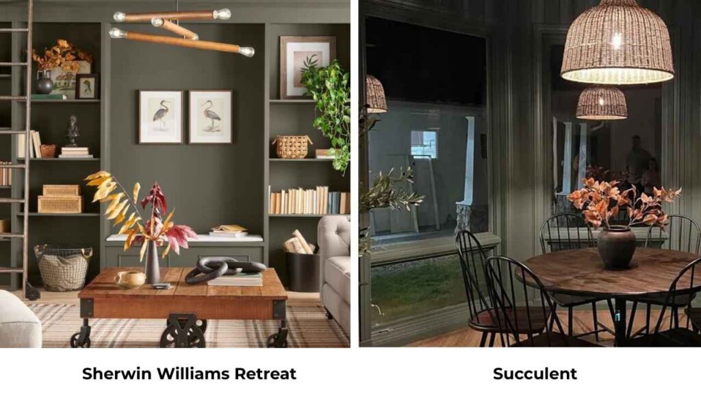 Sherwin Williams Retreat Vs Succulent