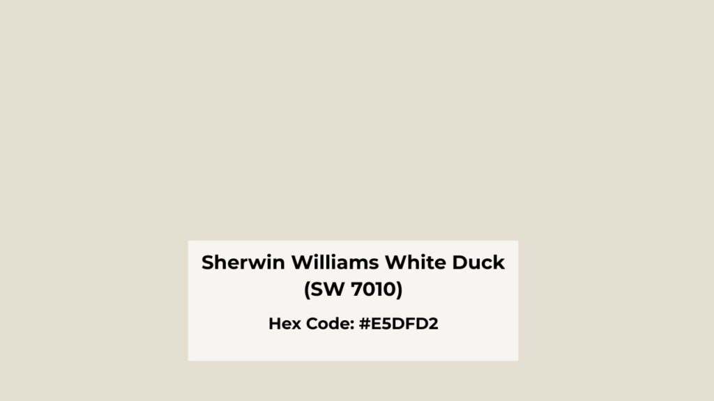 What You Need To Know About Sherwin Williams White Duck (SW 7010)