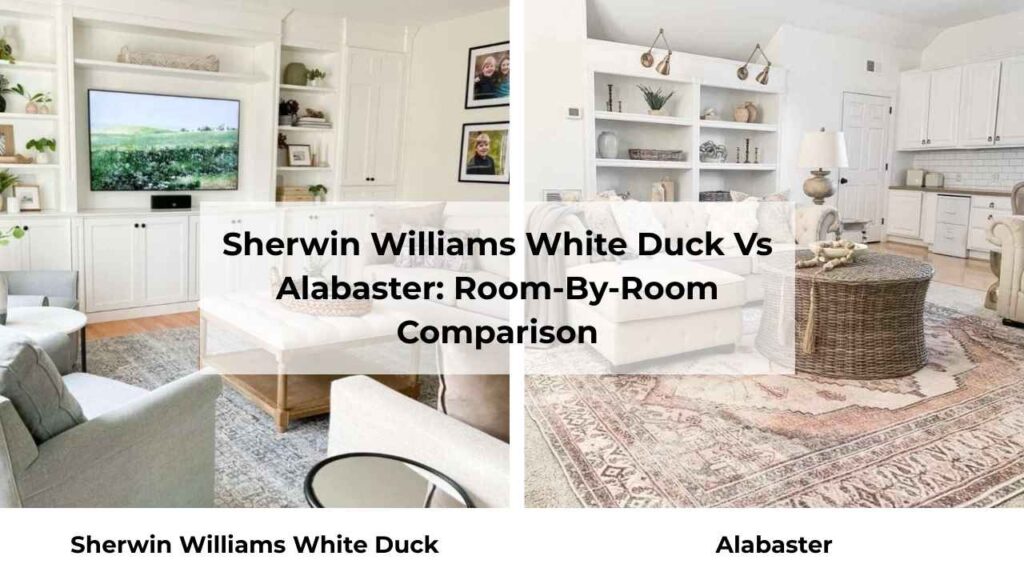 Sherwin Williams White Duck Vs Alabaster: Room-By-Room Comparison