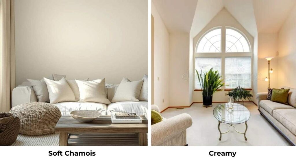 Soft Chamois Vs Creamy