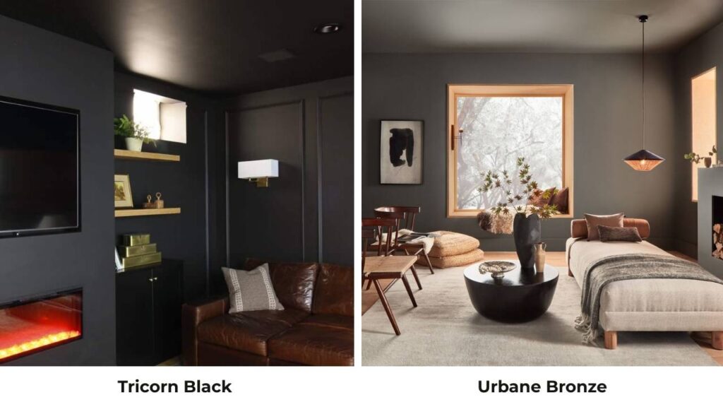 Tricorn Black Vs Urbane Bronze