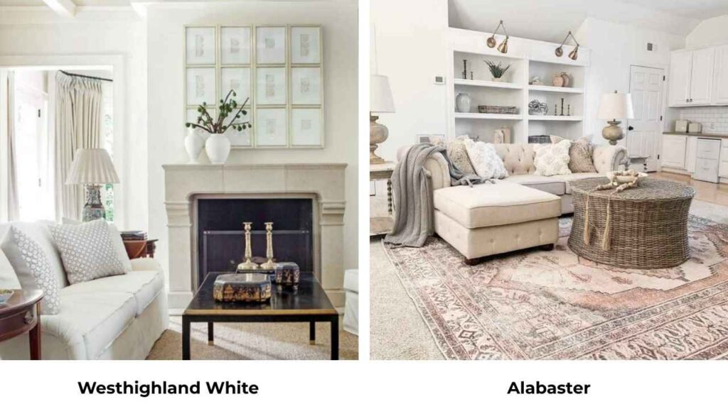 Westhighland White Vs Alabaster
