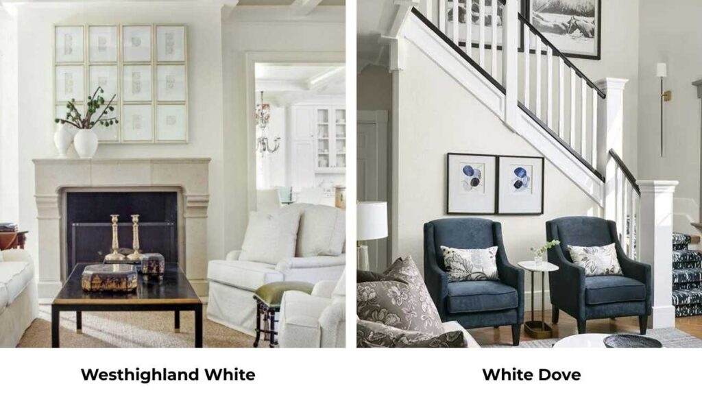Westhighland White Vs White Dove