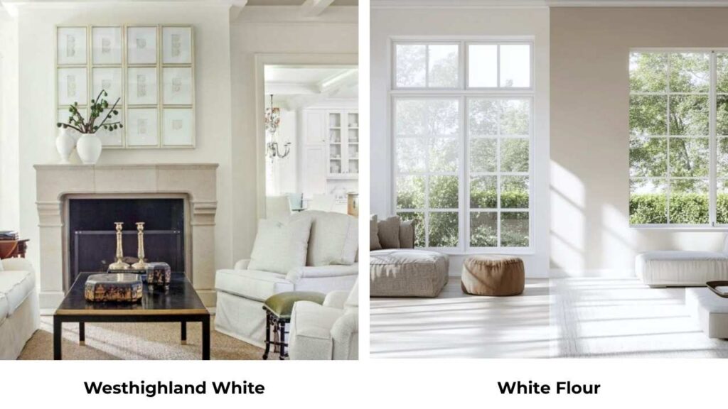 Westhighland White Vs White Flour