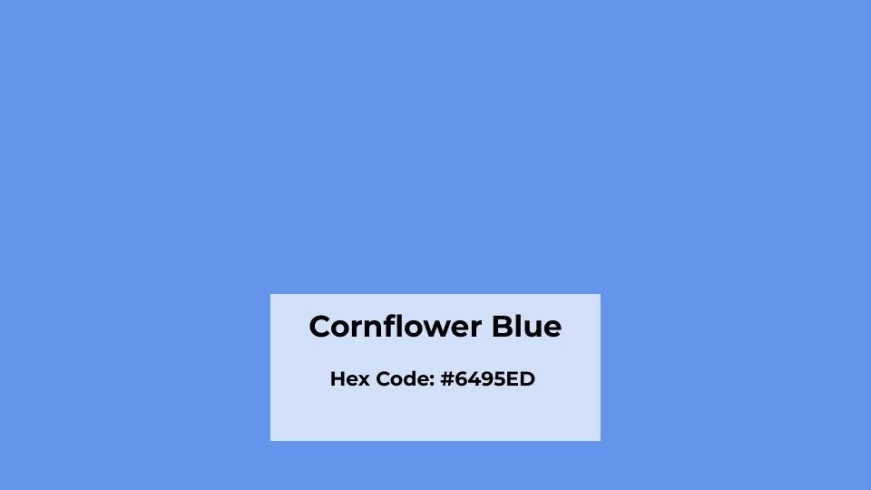 What You Need To Know About Cornflower Blue