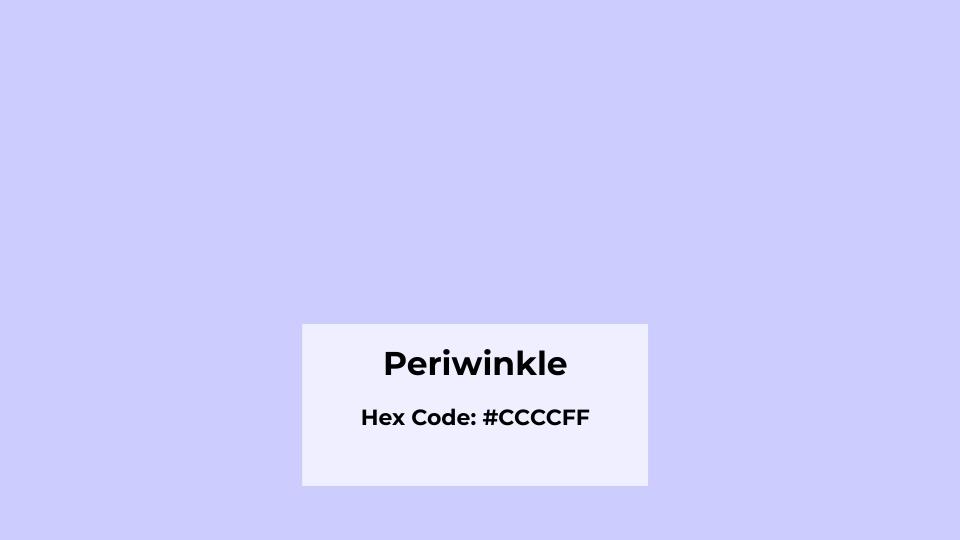What You Need To Know About Periwinkle