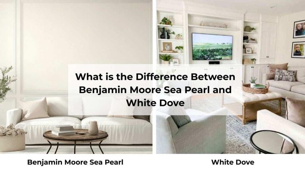 What is the Difference Between Benjamin Moore Sea Pearl and White Dove