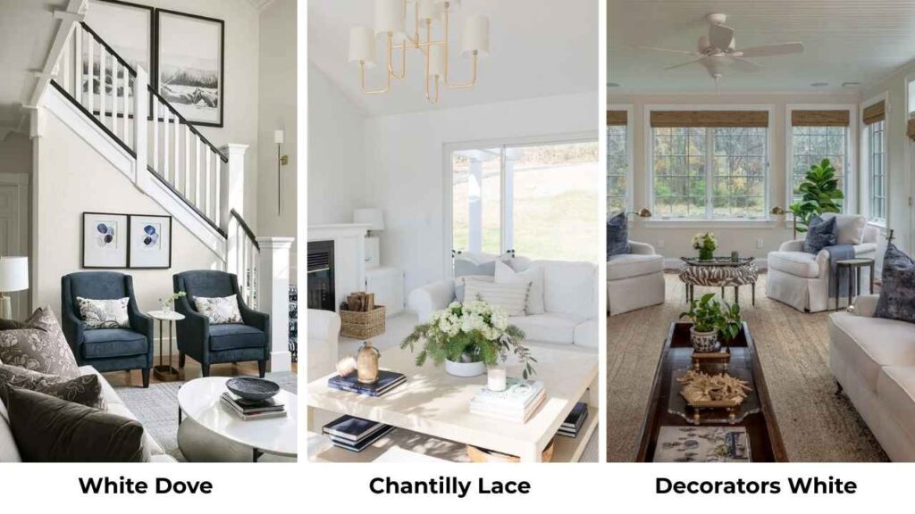 White Dove Vs Chantilly Lace Vs Other Colors