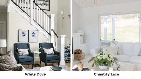 White Dove Vs Chantilly Lace: Which One Works Best in Your Home Featured Image