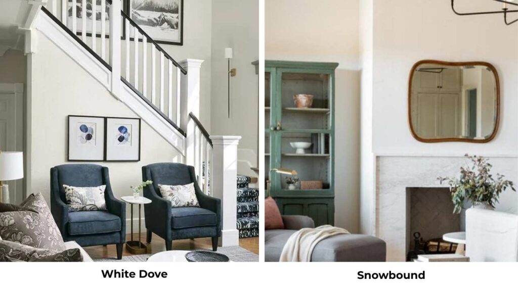 White Dove Vs Snowbound