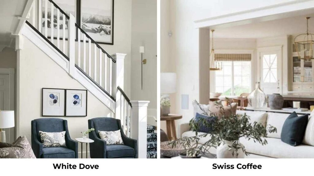 White Dove Vs Swiss Coffee