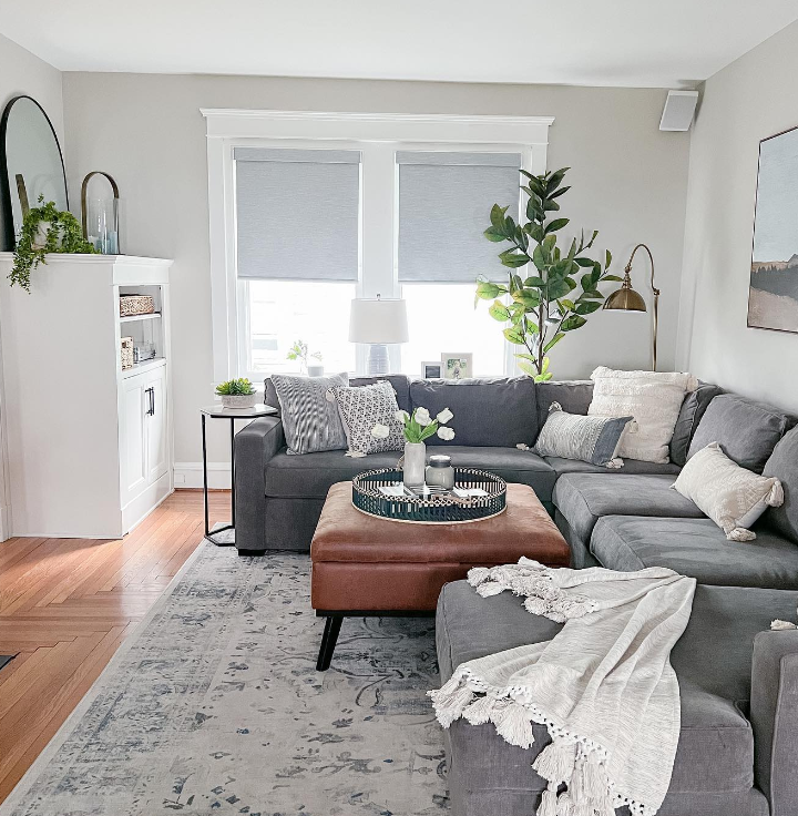 Agreeable Gray in a living room